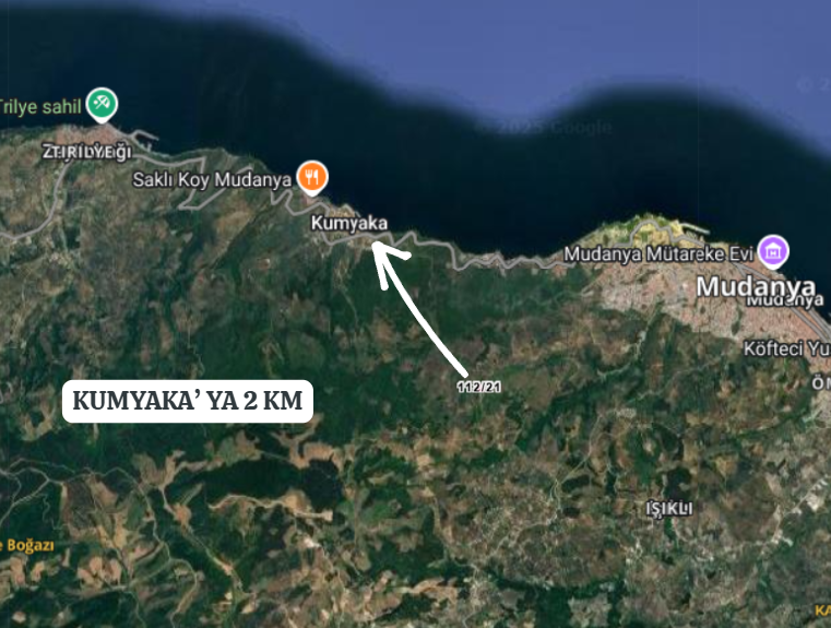 BURSA MUDANYA KUMYAKA 1.368  M²  ZEYTİNLİK  SATILIKTIR - BURSA MUDANYA fotoğraf 5